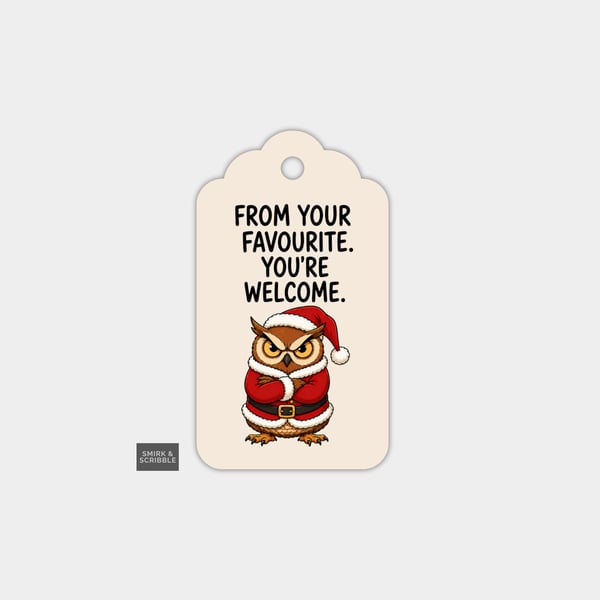 Unique Funny Christmas Gift Tags For Adults, 6pk - Favourite Judgy Owl