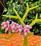 BLUSH PINK FLORAL EARRINGS silk flowers SAKURA BLOSSOM - Image 7