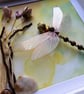 Golden Hour Dragonfly Box Frame - Image 3