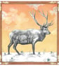 2027 Nature Art Calendar - SMALL wall calendar, wildlife illustrations - Image 5