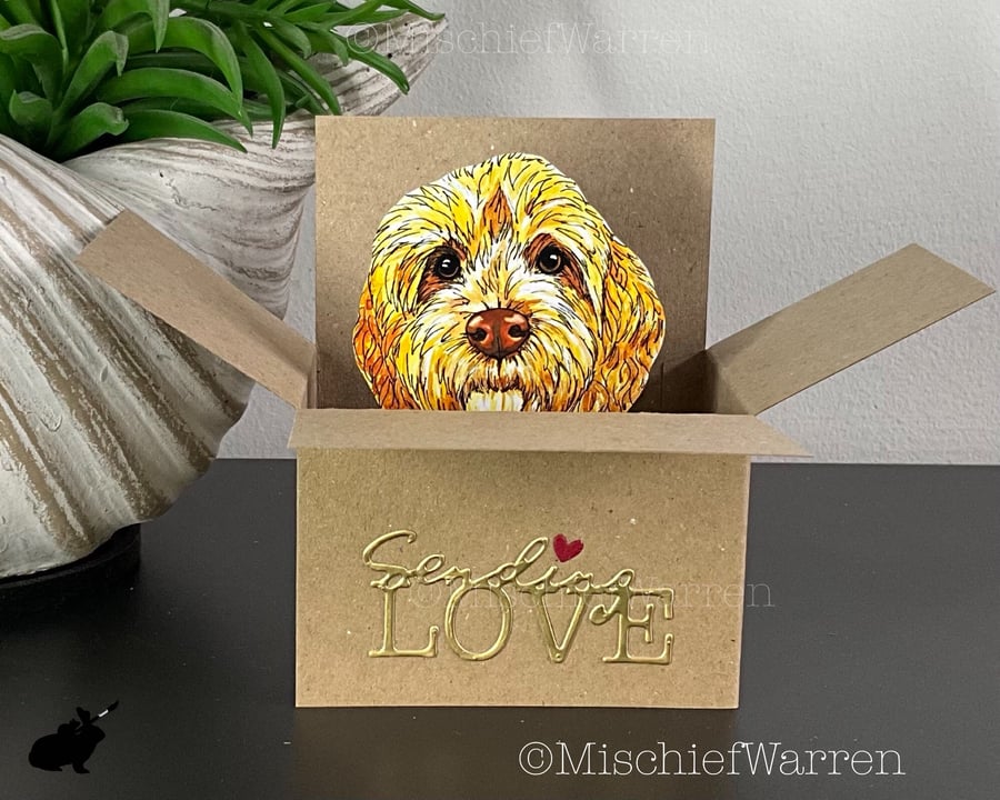 Gold Cockapoo or Labradoodle Box Card. Sending Love. 3D Gift card holder. 