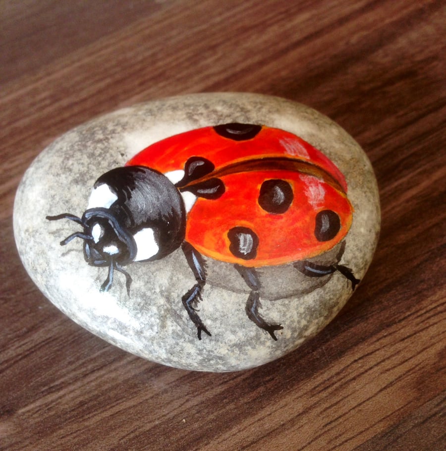 Hand painted rock ladybird
