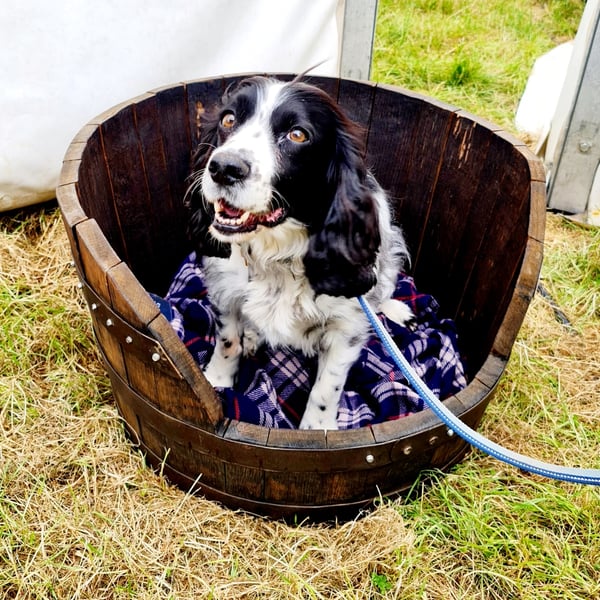 Solid Oak Small to Medium Round Dog Bed 