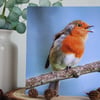 Catch a Wish - Robin - Blank Greetings Card