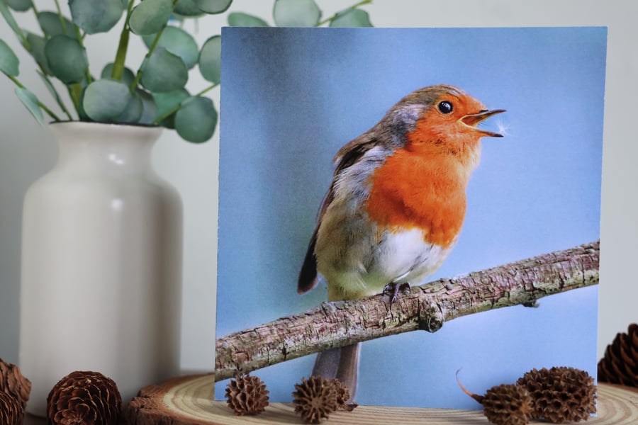 Catch a Wish - Robin - Blank Greetings Card