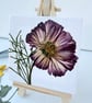 Real Pressed Flower Mini Canvas on Wooden Easel, Real Cosmos, Mini Art - Image 3