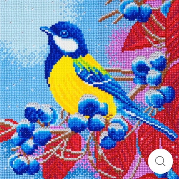 Bird and berries 30x30cm crystal art kit