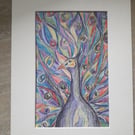 Peacock, colour and graphite pencil drawing.  