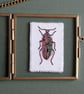 Embroidered Beetle in Metal and Glass Frame - Image 2