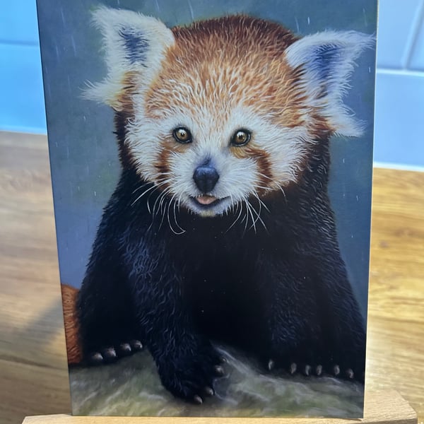 5x7 inch Red Panda Card