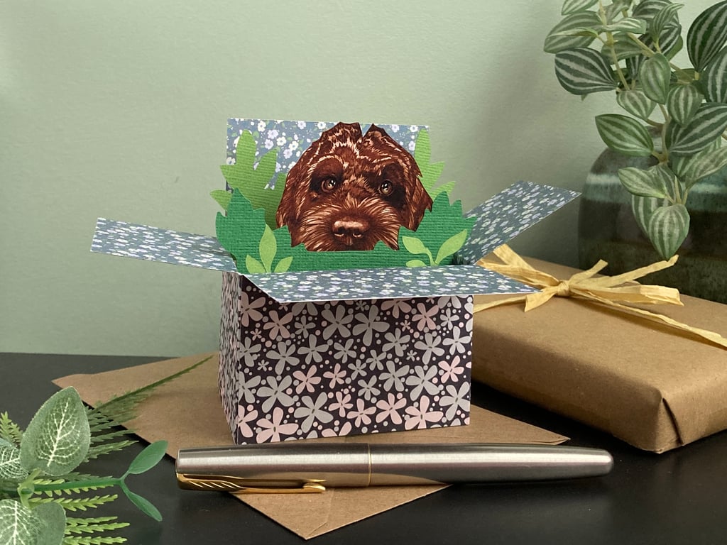 Cockapoo Birthday Card. Personalised 3D brown cockapoo dog gift card holder.