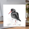 Oyster Catcher Greeting card 