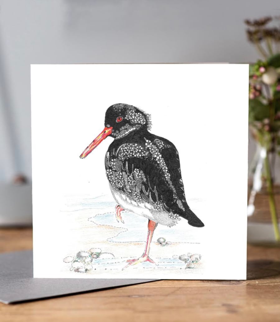 Oyster Catcher Greeting card 