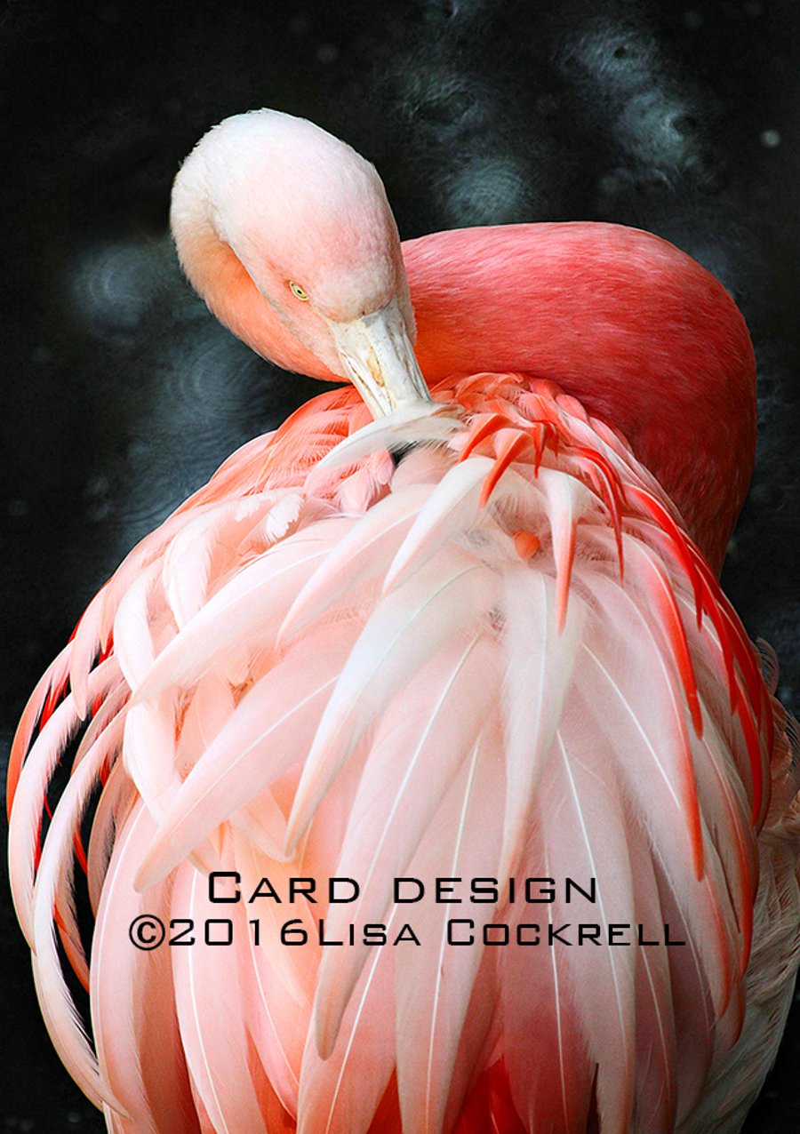 Exclusive Handmade Graceful Flamingo Greetings Card