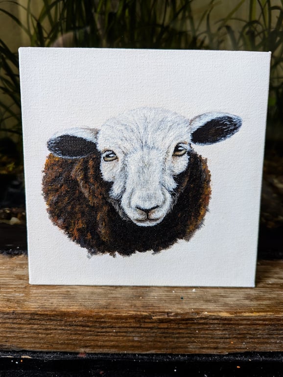 Herdwick Ewe Lamb Sheep Acrylic Portrait Painting 