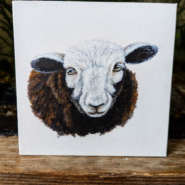 Herdwick Ewe Lamb Sheep Acrylic Portrait Painting 