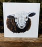 Herdwick Ewe Lamb Sheep Acrylic Portrait Painting  - Image 1