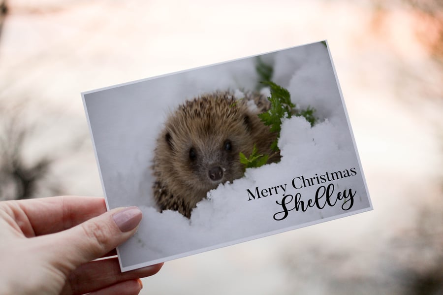 Hedgehog In Snow Christmas Card, Hedgehog Christmas Card, Personalized Card