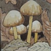 ACEO Forest floor toadstools
