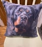 Dog Cushion - Image 1
