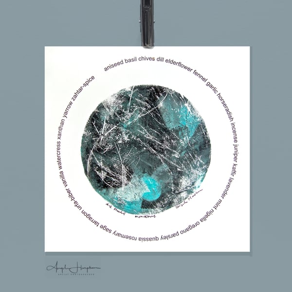 Monoprint Skeletonised Leaves A-Z Herbs Circlet Aquamarine 