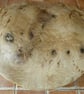 BEAUTIFUL MID SIZE OAK PLATTER MULTI USE - Image 3