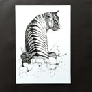 A4 Giclee Print (Choose from a selection of illustrations)