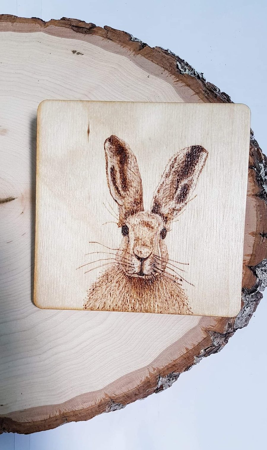 Hand Burned Wooden Coaster - Hare