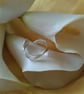 Tulip ring - Image 3