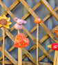 Cane Tops - Image 3