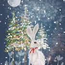 The Winter Hare - Giclee Print