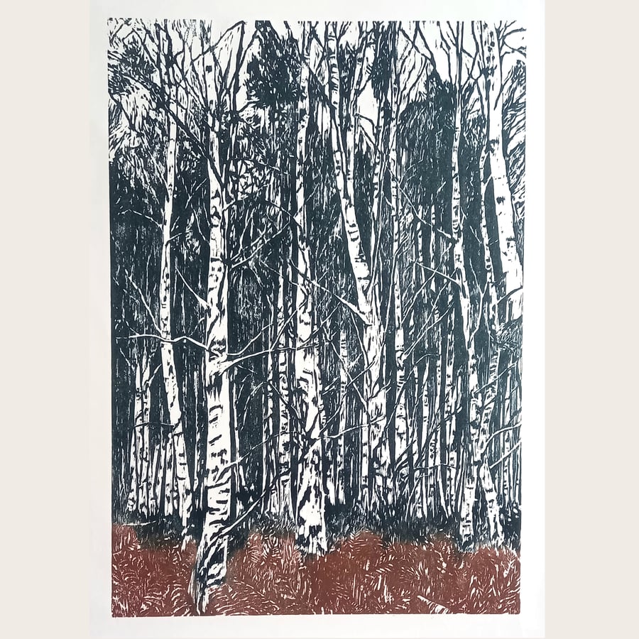 BIRCH TREES AT ARNE - ORIGINAL LIMITED EDITION WOODCUT PRINT 