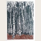 BIRCH TREES AT ARNE - ORIGINAL LIMITED EDITION WOODCUT PRINT 