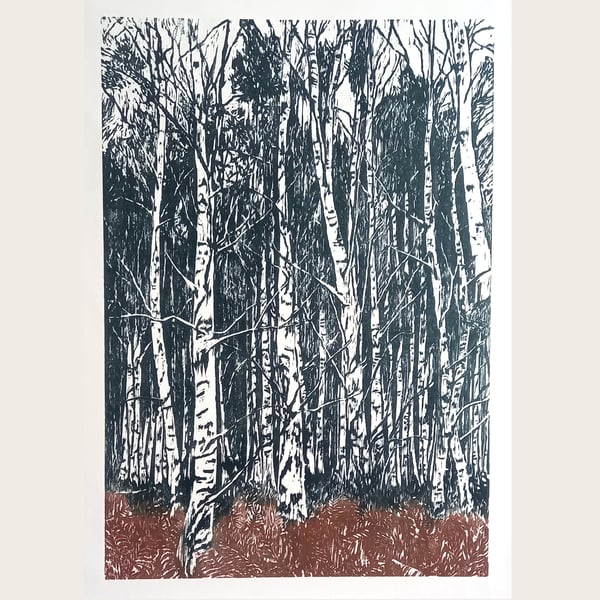 BIRCH TREES AT ARNE - ORIGINAL LIMITED EDITION WOODCUT PRINT 