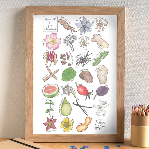 Gin Botanicals Alphabet Art Print