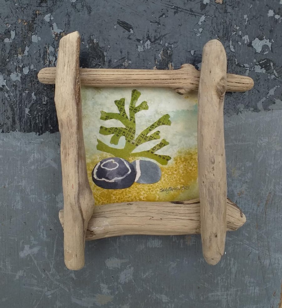 Seaweed with Pebbles original in Driftwood Frame