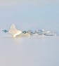 Mother Of Pearl Butterfly Earrings, Wedding Symbolism For Joy, Bridesmaid Gift - Image 3