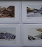 Pack of four Lake District  Signed Cards