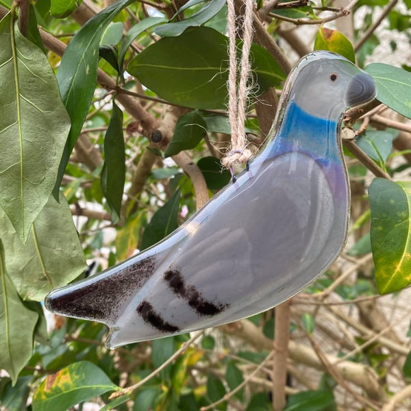 Fused Glass Birds, PIGEON bird lover gift, British bird, hanging bird