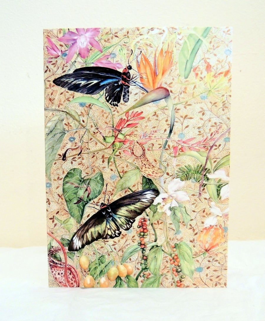 Tropical  Butterfly Greeting Card from Original Watercolour Painting