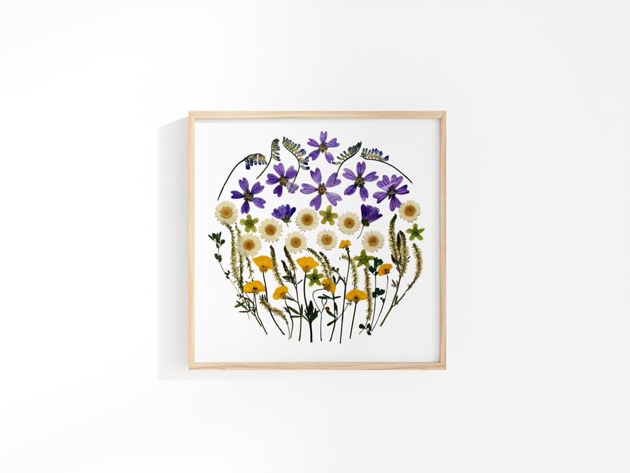 Pressed Flower Art Print, 30.5 cm, Daisies, mallow and Buttercups,