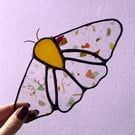 Autumn Stained Glass Moth