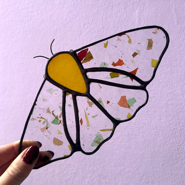 Autumn Stained Glass Moth