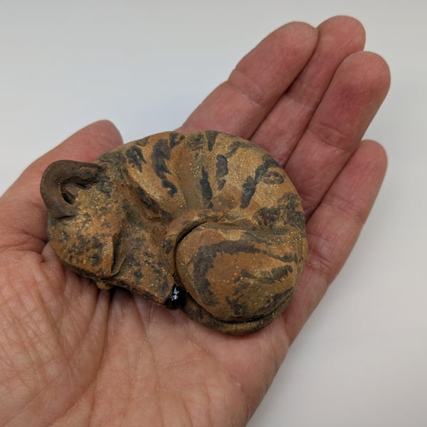 Mini Curled Greyhound Whippet Lurcher