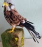 Needle felted male kestrel perked on stump - Image 4