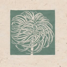 Clematis seed head mini linocut print