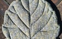 Leaf sitting mats