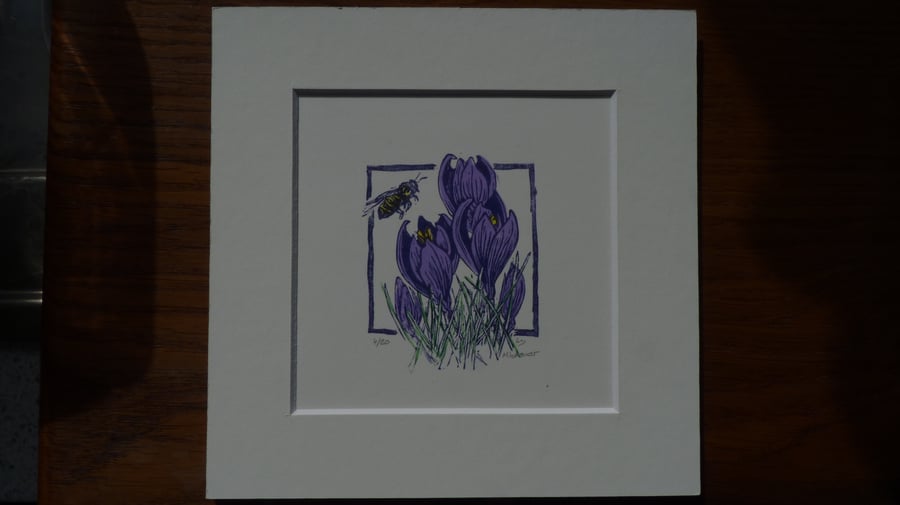 Original limited edition multi plate linocut " Crocus"