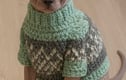 Sphynx Jumper 