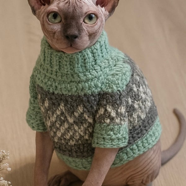 Sphynx cat jumper and small dog jumper